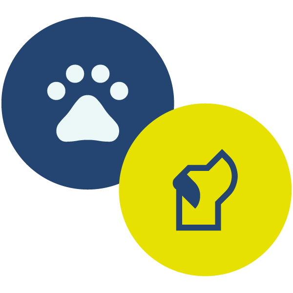 Foto Animali - Sala Posa Mr.Robot Studio